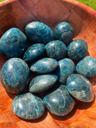 Blue Apatite Palm Stones XL & Lg
