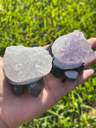 Druzy Agate Turtles Druzy Amethyst