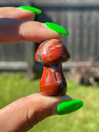 Large Crystal Mushrooms Intuitively Picked