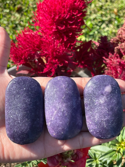 Dark Purple Lepidolite Palm Stones