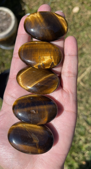 High Quality Tigers Eye Mini Palm Stones