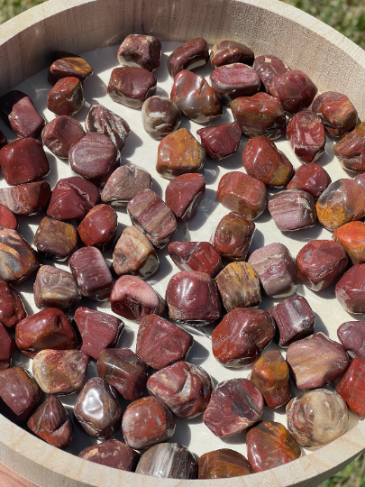 Rainbow Petrified Wood