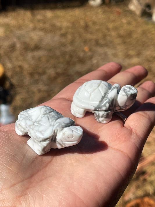 Howlite Turtles