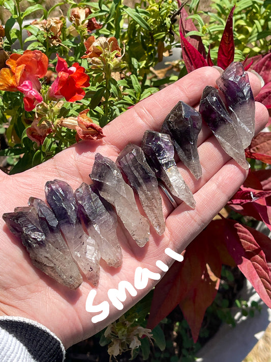 Black Amethyst Teeth