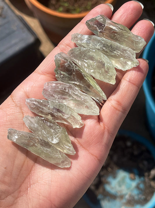 Prasiolite "Green Amethyst" Raw Pieces